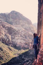 Bird Crack Red Rocks